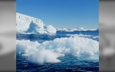 Glaciers and Icebergs