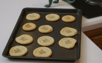 Dinosaur Footprint Cookies